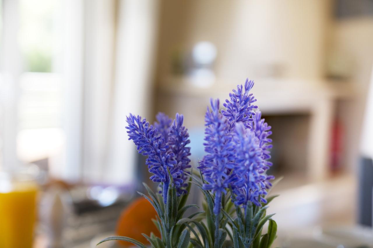 Apartament Pearl Kokkonaki Kokkónion Zewnętrze zdjęcie